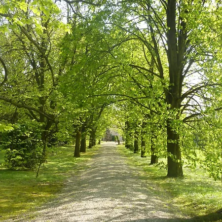 Palazzo Bonfiglioli Bed & Breakfast San Giovanni in Persiceto