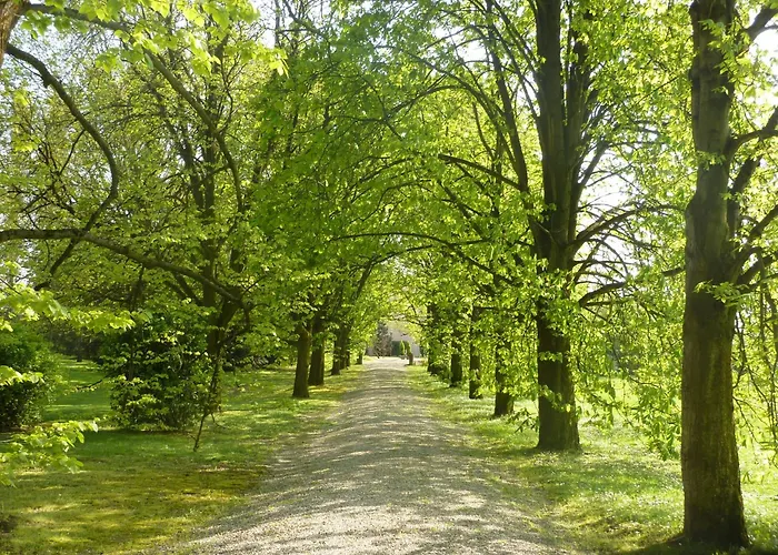 Palazzo Bonfiglioli ベッド・アンド・ブレックファスト サン・ジョヴァンニ・イン・ペルシチェート
